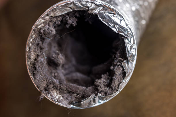 Best Commercial Air Duct Cleaning  in Chittenango, NY