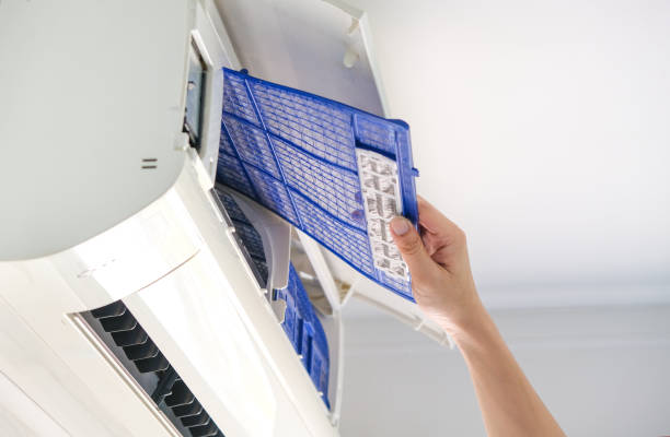 Best Air Duct Inspection  in Chittenango, NY